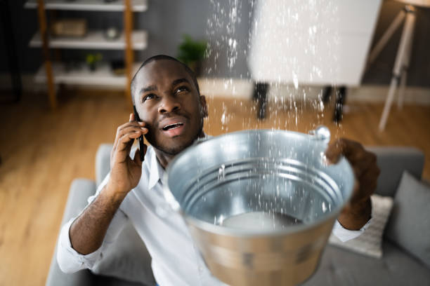 Reliable Freeman, SD Water damage restoration Solutions