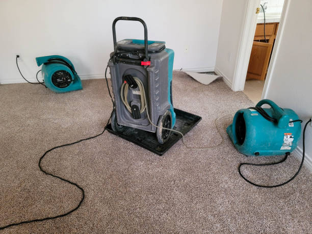 Best Carpet water damage restoration  in Freeman, SD