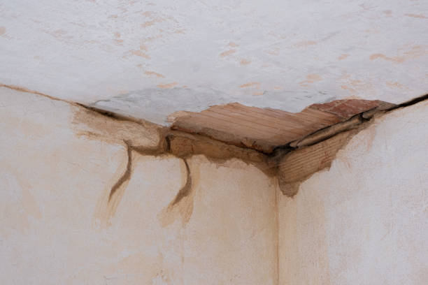Best Water damage cleanup near me  in Freeman, SD