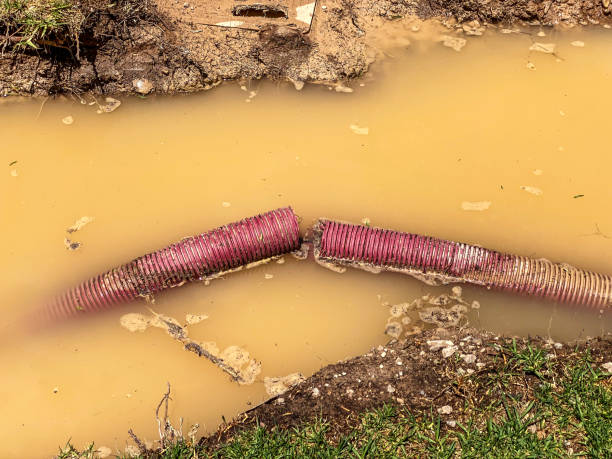 Best Water damage restoration near me  in Freeman, SD