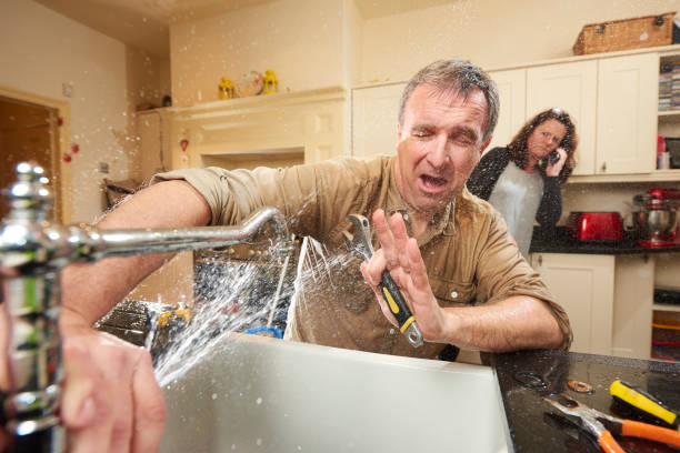 Best Flood restoration services  in Freeman, SD